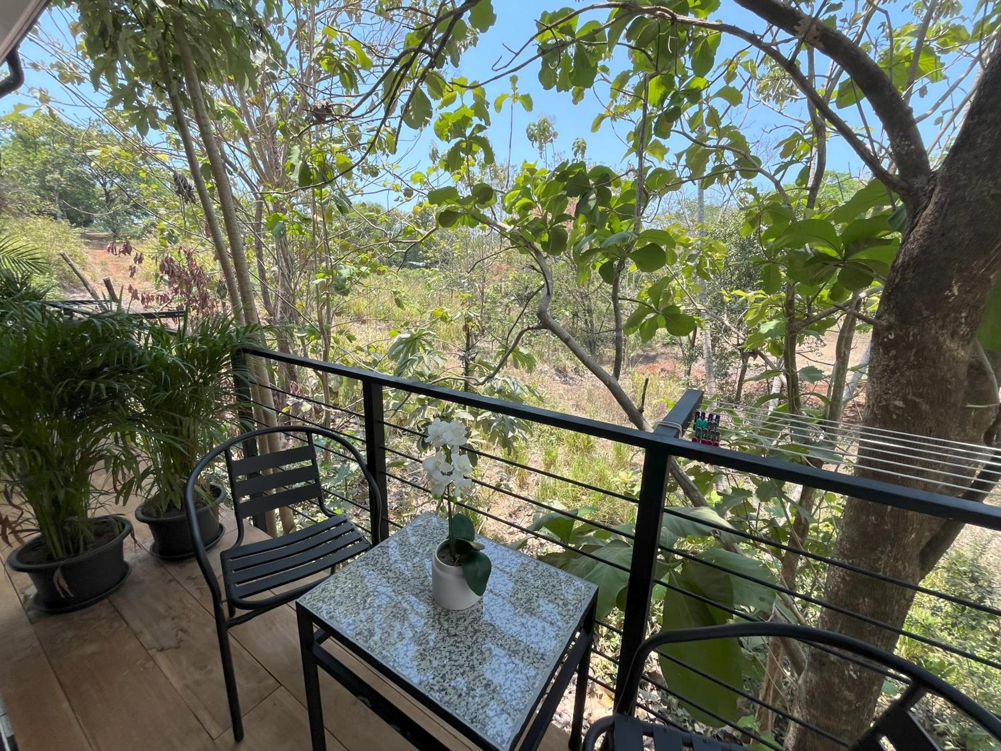 La Jungla Acomodação com café da manhã Puerto Carrillo Exterior foto
